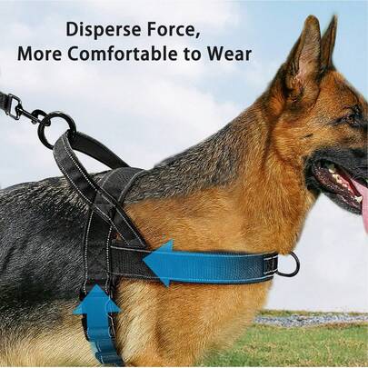 1pc Multi-Color Dog Tactical Chest Harness, Nylon Material For Medium/Large Dogs, Pet Dog Leash Vest Accessories