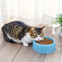 3/6/8Pcs Plastic Pet Bowls In Random Colors - Non-Slip Round Feeding Dishes, Pet Supplies Single Bowls, For Dogs, Cats, Puppy, Kitten - Ideal For Home, Travel, Outdoor - Easy To Clean & Durable, Cat Food Bowl, Sleek Bowl Design, Nonslip Design. - 100ml - View 3