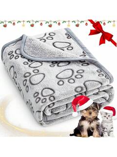 Animaux de compagnie