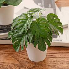 仿真盆栽，四种款式可选：铜草、芋叶、孔雀竹、龟背竹。PE材质。仿真花卉，逼真植物，仿真花艺摆设。适用于：宿舍/办公室装饰、婚礼季装饰、户外派对及庆典、生日派对装饰。完美适用于：家居入口、酒店、餐厅、客厅、卧室、婚宴、厨房、花园装饰。春夏装饰佳品。品质优良。 - 綠色 - 查看 14