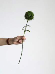 1 件人造花真实触感石竹绿球茎伯利恒星花逼真蒲公英带叶白色和绿色假花为餐桌中心装饰婚礼活动派对家居装饰增添一抹新鲜感 - 彩色 - 查看 8