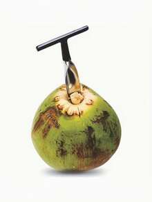 2/1 pieza Juego de herramientas de acero inoxidable para abrir cocos - Removedor de carne de coco, cuchillo raspador, herramienta de perforación | Mango de madera antideslizante, apto para alimentos, fácil de usar, extracción de carne de coco | Diseño ergonómico | Construcción, apertura de cocos - Multicolor - Ver 9