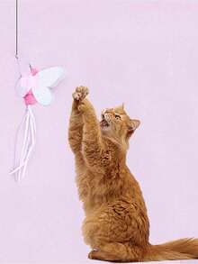 1 Đồ chơi tương tác gậy trêu mèo, chuông lông vũ nhân tạo thay thế cho thú cưng, thích hợp cho mèo tập thể dục và tự giải trí, gậy trêu cầm tay, nhiều loại côn trùng thay thế đầu - Nhiều màu - Xem 5