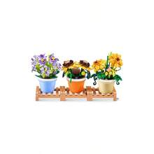 - Garden MOT Plants - Serie Girasol 1 Maceta - Girasol en maceta - Ver 9