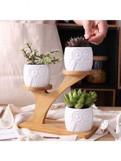 Unique Tree Branch Shaped Succulent Pot Stand Wooden Desktop Succulent Plant Pots Holder Flowerpots For Windowsill Tabletop Decor