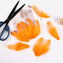 1 Pack Of 300 Pieces Of Chicken Feathers 7-12 Cm/3-5 Inches, Can Be Used For DIY Headdress Wedding Decoration, Family Carnival, Center Decoration, Crafts, Dream Catcher, Holiday Accessories, Carnival, Embellishment - Orange - View 4