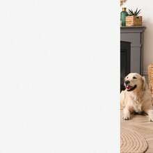 1卷磨砂玻璃窗膜，浴室窗户隐私膜 - 自粘式，防紫外线隔热窗贴，适用于家庭和办公室 - 白色 - 查看 3