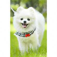 Comfortable Dog Leash, Cat Leash, Cute & Comfortable Pet Leash, Pet Supplies, Pet Birthday Gift