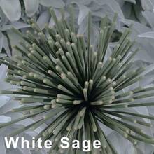 20/50/100/200pcs White Sage Smudge Sticks, Lavender Scented Incense Sticks, 8.66 Inches, Suitable For Home Decor, Office, Healing, Yoga And Meditation, Purify The Mind, Eliminate Negative Energy | Outdoor | Gift - Sage - View 6