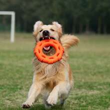 Pet Tire Shape Chew Ring Toy Creative Interactive Bell Teething Toys For Small Medium Large Dogs - Orange - View 2