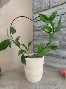 1pc Heart-Shaped Metal Garden Plant Trellis, Mom Gift Decor Potted Plant Support Pole, Black Coated, Adjustable Potted Plant Stand, Suitable For Vines, Vegetables, Vining Flowers, Patio Climbing Frame, Climbing Plants, Wrought Iron Climbing Plant, Living Room Decor, Valentine's Day - Multicolor - View 5