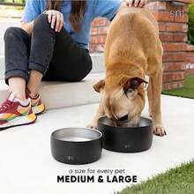 Acero Inoxidable El ón de Agua para Mascotas | Acero Inoxidable Aislado y Reutilizable Tazones de Comida para Perro Gato | Bentley Colección| Grande |(4 Cups Deep Ocean) - 5L - Ver 6