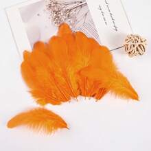1 Pack Of 300 Pieces Of Chicken Feathers 7-12 Cm/3-5 Inches, Can Be Used For DIY Headdress Wedding Decoration, Family Carnival, Center Decoration, Crafts, Dream Catcher, Holiday Accessories, Carnival, Embellishment - Orange - View 6