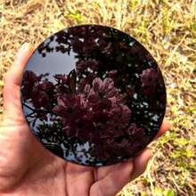 1 Bộ Gương soi Obsidian đen tự nhiên đánh bóng, Đồ trang trí pha lê mịn dùng để thiền định, Trang trí nhà cửa/văn phòng, Bộ sưu tập pha lê, Bói toán phong thủy, Bàn thờ Wicca, Trang trí thanh lịch & Điểm nhấn sang trọng - màu đen - Xem 5