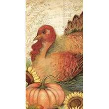 Multicolor