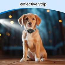 Rechargeable Smart Anti-Bark Collar For Small, Medium And Large Dogs, 8 Adjustable Sensitivity Levels Of Beep, Vibration And Automatic Shock, 4 Training Modes To Automatically Stop Dog Barking - Multicolor - View 8
