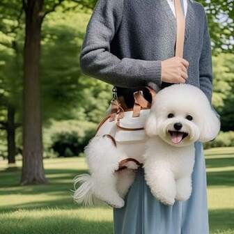 Outdoor Portable Breathable Pet Carrier Backpack, Cat Dog Hand-Held Crossbody Travel Leash Bag