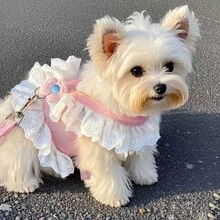 Cat Summer Dress & Leash, Dog Harness Set, Puppy Spring/Autumn Clothes, Princess Style Dog Walking Safety Leash - Pink - View 4