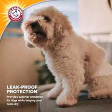 Arm & Hammer For Pets Female Dog Diapers, Size Medium, 12 Count | Ultra-Abosorbent, Adjustable Girl Dog Diapers with Leak-Proof Protection and Wetness (FF13876)(Hombre Mediano) - 2pcs - Ver 5