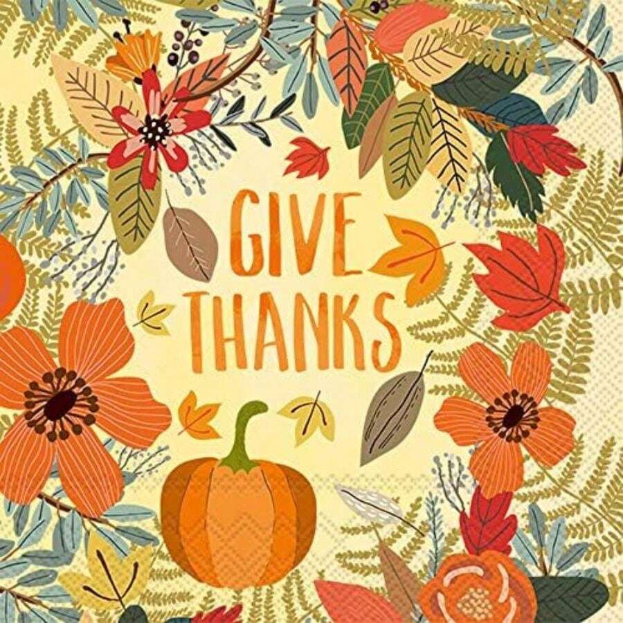 Boston International servilletas de papel para cócteles y bebidas, , 5 x 5-Inches, 1(12.70cm (5") x 12.70cm (5") Give Thanks Floral) - Multicolor - Ver 1