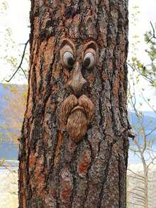 1 pieza Cara de árbol, Decoración de árbol exterior, Arte de árbol, Decoración de árbol exterior, Cara de árbol, Decoración de tocón de árbol, Cara de tronco de árbol, Decoración de árbol exterior, Decoración de cara de árbol, Decoración de cara de árbol exterior, Ojos de árbol - Multicolor - Ver 3