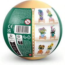 - Garden MOT Plants - Serie Girasol 1 Maceta - Girasol en maceta - Ver 8