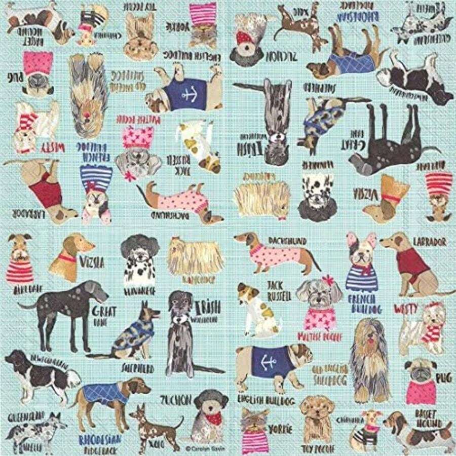 Table Napkins - Multicolor - View 1