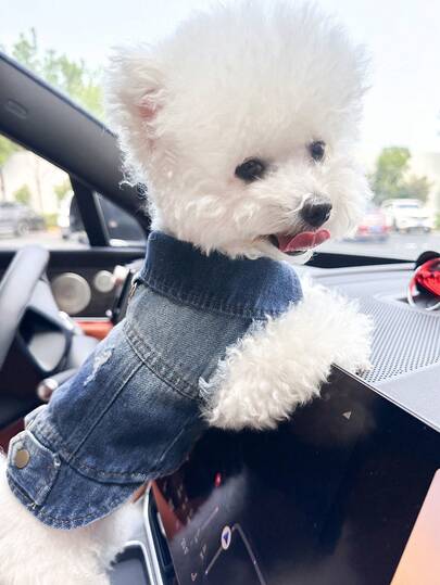 PETCIRCLE 1 bộ quần áo cho thú cưng, trang phục cho chó/mèo, quần áo cho chó nhỏ và chó con, áo khoác thời trang dễ thương thoải mái mát mẻ