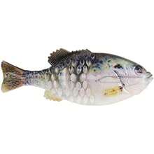 Berkley Gilly Fishing Soft Bait(90 mm HD Crappie) - Multicolor - Ver 2