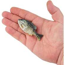 Berkley Gilly Fishing Soft Bait(90 mm HD Crappie) - Multicolor - Ver 4