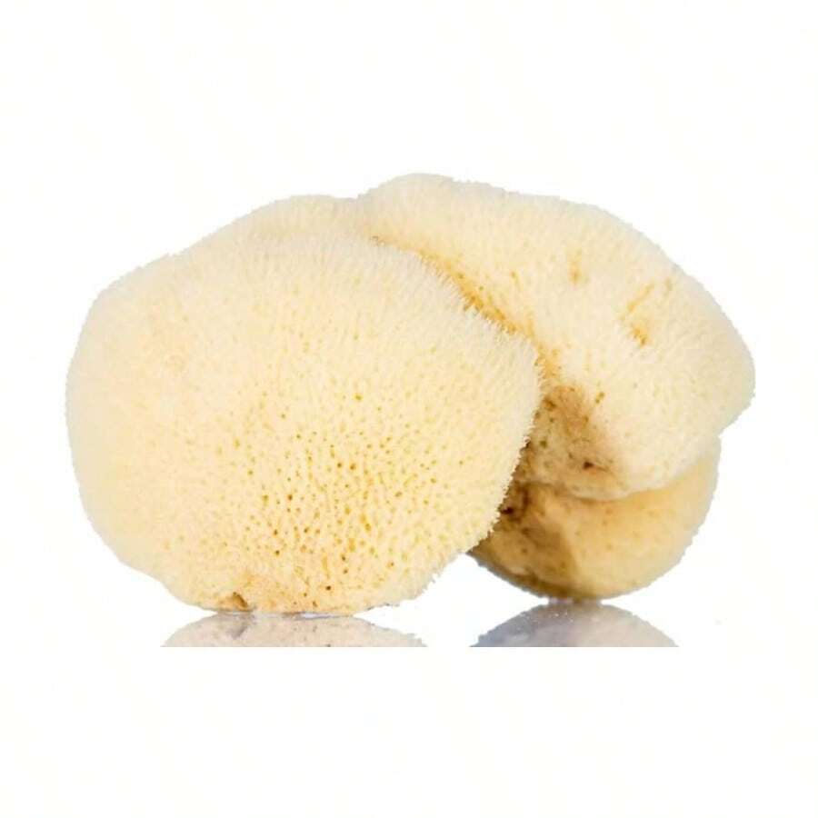 All - Natural Remover Cleansing Sponge u2013 Wool, Single Piece - Beige natural - Ver 1