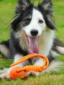 夜光反光条纹狗狗玩具球，清洁牙齿，自娱自乐，绳索玩具球，宠物用品，拔河玩具，狗狗玩具，互动训练，漂浮耐用咀嚼玩具球，宠物用品，宠物玩具，易于清洁的捡球玩具球，耐用咀嚼玩具，磨牙狗狗玩具，互动娱乐玩具，宠物训练，缓解无聊，促进人宠互动，增进感情玩具球