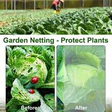 细网园艺网，防虫网，植物保护网，防鸟网，适用于果树、蔬菜、蓝莓、温室农业，耐用白色塑料网，精细防护网 - 白色 - 查看 4