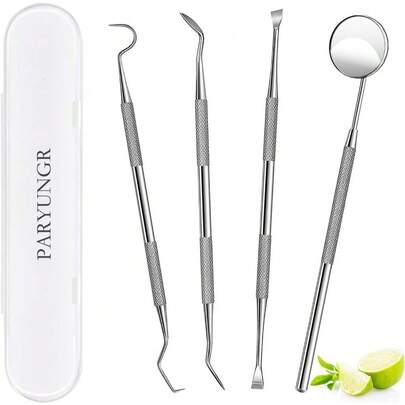 Professional Teeth Cleaning Kit Stainless Steel Dental Tools Set With Tartar Scraper Plaque Remover For Dentist Home Use Oral Care Hygiene Instruments For Personal And Pet Dental Care Complete Storage Box