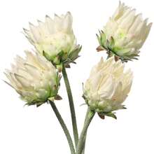25-Inch Artificial King Protea Bouquet, Lifelike Tropical Floral, Suitable For Wedding Table Centerpiece Decoration - Multicolor - View 8
