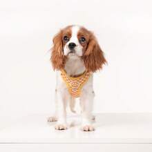 Spring New Plaid Pattern Dog Harness And Leash Set, Made Of Soft Breathable Mesh Fabric, Back Equipped With Round Ring For Increased Stability, Anti-Friction Design, Adjustable Size, Suitable For Small Dogs - Fashionable And Comfortable, Ideal For Daily Walking And Training. Matching Leash Has Waste Bag Holder. - Yellow - View 11
