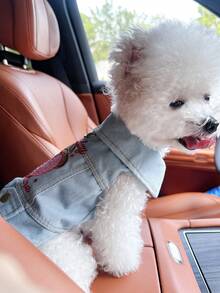 PETCIRCLE 1件宠物衣服，狗狗/猫咪套装，小型犬/幼犬服装，可爱舒适的爱心连帽外套，情人节时尚装扮 - 藍色 - 查看 4