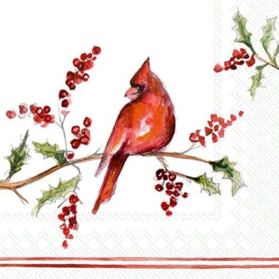 Table Napkins - Multicolor - View 1