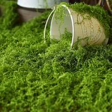 1 Pack 200g Realistic Artificial Green Moss, Durable Plastic, Indoor/Outdoor Decor, Suitable For Glass Containers, Planters And Landscaping, Natural Green Moss Texture, Easy To Install And Maintain, Great For Home And Garden Decor, Plant Moss, Indoor Gardening, Natural Appearance, Easy To Install - Green - View 3