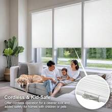 Blinds, Shades & Shutters - Multicolor - View 3