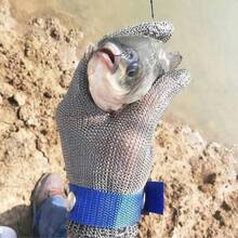 1只装 S/M/L/XL/XXL/XXXL 不锈钢防割手套，金属网屠宰手套