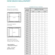 RoomMates RMK12234PL Nikki Chu - Papel pintado para pelar y pegar color gris y plateado metálico(Gris y plateado.) - Multicolor - Ver 8