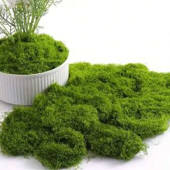 1 pieza Decoración de césped artificial de musgo, planta en maceta de poliéster y paisaje en miniatura de follaje artificial, adecuado para decoración de vacaciones, Navidad y Día de San Patricio, aleatorio para primavera, estética de la habitación y decoración del hogar