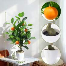 Artificial Plants - Orange Tree - View 4