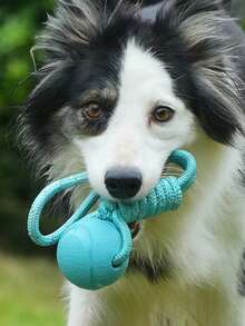 夜光反光条纹狗狗玩具球，清洁牙齿，自娱自乐，绳索玩具球，宠物用品，拔河玩具，狗狗玩具，互动训练，漂浮耐用咀嚼玩具球，宠物用品，宠物玩具，易于清洁的捡球玩具球，耐用咀嚼玩具，磨牙狗狗玩具，互动娱乐玩具，宠物训练，缓解无聊，促进人宠互动，增进感情玩具球