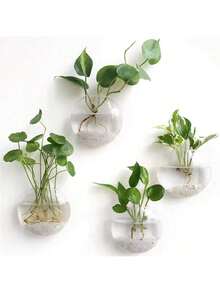 1/2/4/6/8/10 Semi-Circular Acrylic Hook Vase Wall Mounted Hydroponic Plant Office Wall Decoration Ins Style - Clear - View 13