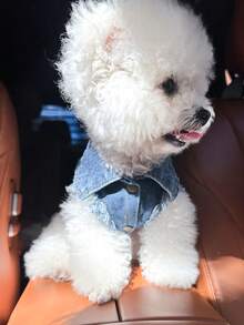 PETCIRCLE 1件宠物衣服，狗狗/猫咪套装，时尚可爱小型犬服装，舒适时尚外套 - 藍色 - 查看 6