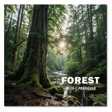 2026 Calendar, 2026 Wall Calendar, Monthly Calendars 12 Month Forest 12" X 24" Opened, Thick Glossy Paper For Organizing Planning, Ideal For Home Office - 多色297 - 查看 1