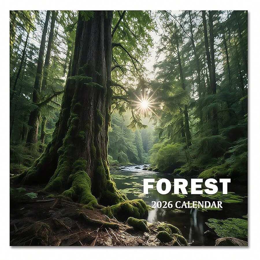 2026 Calendar, 2026 Wall Calendar, Monthly Calendars 12 Month Forest 12" X 24" Opened, Thick Glossy Paper For Organizing Planning, Ideal For Home Office - 多色297 - 查看 1