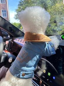 1件宠物衣服，狗狗/猫咪套装，小型犬/幼犬服装，时尚可爱舒适的字母巴黎风外套 - 藍色 - 查看 3